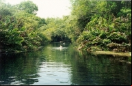 Rio Formoso