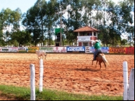 Festa do Pe